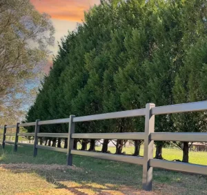 3-Rail Aluminum Ranch-Style Fence with Aluminum Posts and Chain-Link Mesh for Australian Rural House