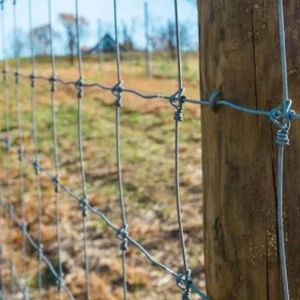 4ft 6ft 8ft Galvanized Fixed-Knot Field Fence