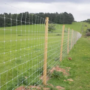 6-Foot Galvanized Field Fence 12.5-Gauge Goat Wire Mesh 100m by 1.8m