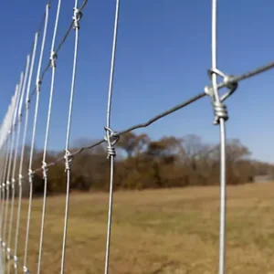 6ft Height 50m Length Fixed-Knot Deer Field Fence for Rural Cattle, Sheep and Goat Use