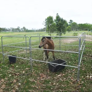 8-Panel Portable Holding Yard Panels for Horse Stockyard