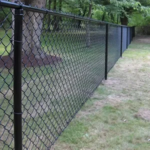 9 Gauge PVC-Coated Chain-Link Wire Mesh Security Fence, Diamond Hole, Cyclone, Industrial, Construction