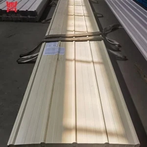 Anti moisture PPGL 0.42mm Exposed Fastener Wall Sheet Expandable Container Living Room Wall