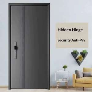 Anti theft Metal Entry Doors for Villa School Apartment and Household Use Modern Design Double Swing Doors