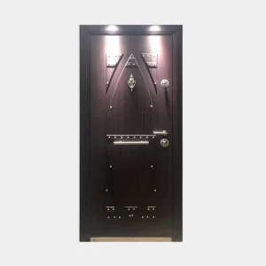Black Double Glass Wooden Metal Frame Entrance Modern Exterior Solid Wood Pivot Door