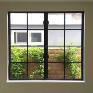 Commercial Double Steel Windows Exterior Cast Iron Window Brass Hardware Iron Window Steel Profile