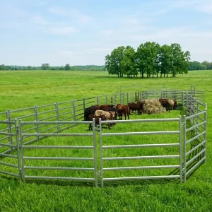 Corral Panel for Cattle Livestock Metal Frame with Galvanized Finish Zinc Surface Australia Farm Yard Fence