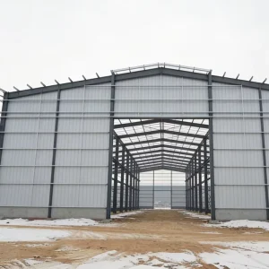 Cost Effective Steel Structure Building Systems for Warehouse Workshop Factory and Stadium Fast Delivery Easy Assembly