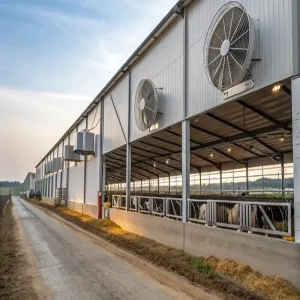 Cow Shed Farm Building Cattle Metal Construction Building Livestock Shed Prefabricated Light Steel Cattle Shed