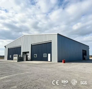 Custom Color Modern Design Prefab Steel Structure Workshop Building and Outdoor Storage Warehouse