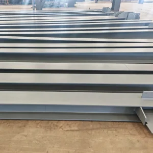 Customizable High Quality Steel Structure Materials for Professional Gymnasium Building Construction