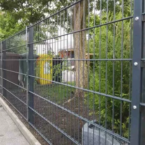 Customized 2D Double Wire Fence High Security Galvanized Surface Heat Treated Eco friendly for Outdoor Durable
