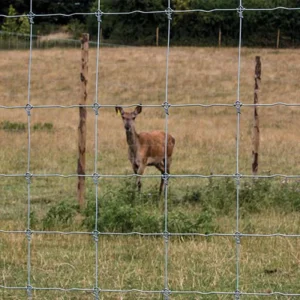 Customized 2m Farm Field Fence for Horse and Deer Use