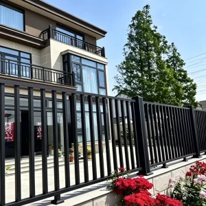 Customized Modern Outdoor Metal Railings for Villa Hotel and Garden