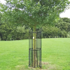 Decorative Metal Tree Fence Welded Tree Guard