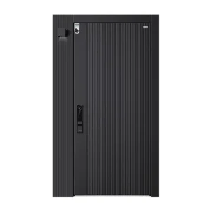 Decorative Zinc Iron Alloy Custom Security Soundproof Doors with Hinge and Pivot Door for Exterior Entry