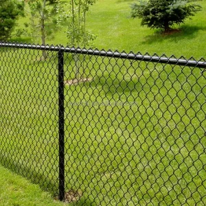 Diamond Cyclone PVC-Coated Chain-Link Wire Mesh Fence, Philippines
