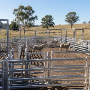 Durable Galvanized Metal Steel Animal Fence Livestock Corral Panel Goat Sheep Pen Panels Yard Panels