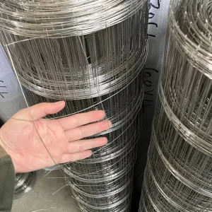 Durable Galvanized Stainless Steel Welded Wire Mesh Rolls for Fencing Security Agricultural Use-Eco-friendly Weather Resistant