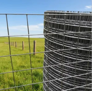 Durable Metal Mesh Fence with PVC Coating for Modern Security and Trellis Gates