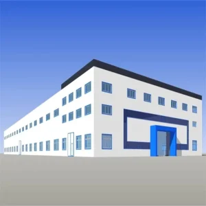 Durable Steel Structure Building with High Roof Load and 5 Years Warranty for Metal Building Applications
