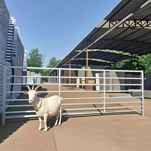 Easily Assembled Portable Welded Steel Round and Square Tube Sheep Hurdles and Goat Corral Fence Panels
