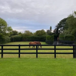Electric Horse Fencing 4-Rail Black Horse Fence Ranch Fence