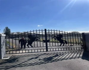 Factory Customized-Size Modern Wrought Iron Gate for Home, Garden, Sport and Farm Driveways Powder-Coated