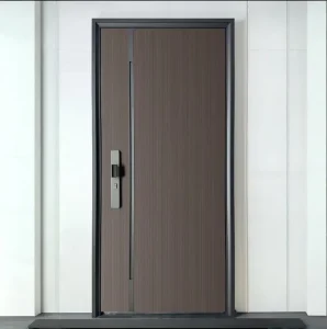 Fancy Metal Doors for Houses Other Types of Doors