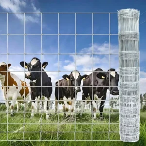 Farm Fence Wire Mesh, Bull Bar Network, Galvanized Wire Mesh, Grassland and Animal Fence