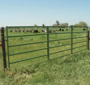 Farm Metal Gates High Quality Galvanised Farm Gate 4 6 8 10 Feet or Custom Welded Mesh Farm Gate for Sale