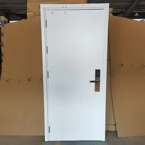 Flat Style Metal Steel Door for Hotel Apartment