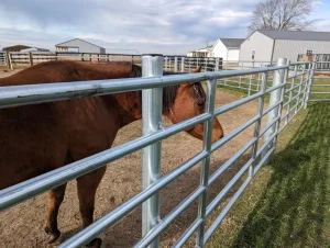 Galvanized Cattle Yard Horse Fence Corral Panel Cattle Panel Fence