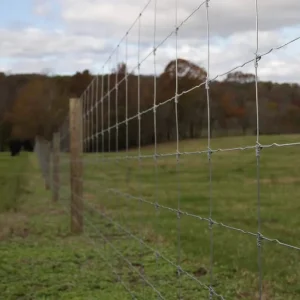 Galvanized Hinged-Joint Knot Woven Wire Mesh Fence for Horse, Cattle, and Livestock
