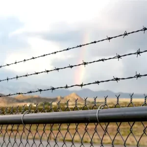 Galvanized Powder Coated Barbed Wire 250m Per Roll 12.5 Gauge 4 Point Barbs High Quality Security Fence 3D Modeling
