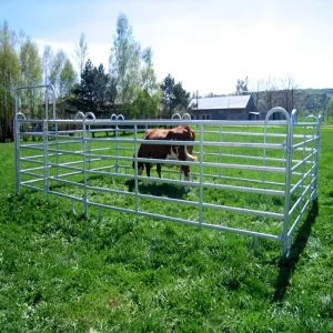 Galvanized Powder-Coated Steel Farm Fence Gate, 6FT, 4 Rails, for Horse, Cattle, and Sheep