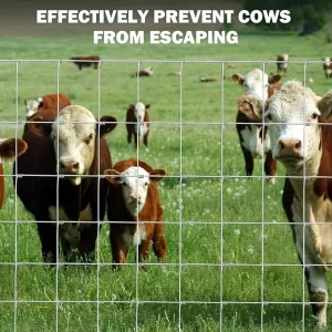 Galvanized Steel Field Livestock Mesh Farm Fence Heavy Duty Pasture Wire Fence