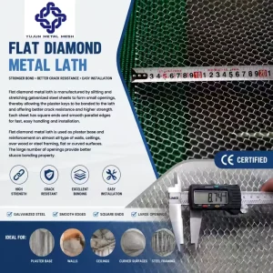 Galvanized Steel Lath Customizable Diamond Mesh Water Resistant Durable Plasterer Wall Reinforcement Construction for Apartment