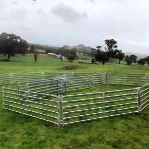 Galvanized Tube Sheep Panel Yard Corral Fencing System for Farm Use