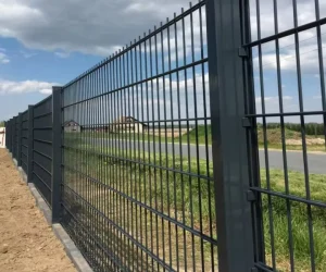 Heavy Duty 8/6/8mm Double Wire Fence Anti Climb Galvanized Powder Coated for Factory Warehouse Industrial Perimeter Safety