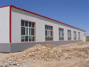 Heavy Duty Prefabricated Steel Structure Workshop Building High Quality Industrial Factory Shed with Overhead Crane System