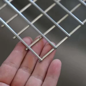 High Quality Galvanized PVC Coated Steel Wire Mesh Anti corrosion Industrial Use Wear resistant Customizable Yard Fencing
