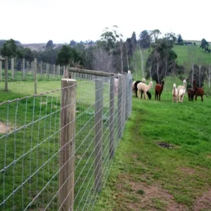 Hot-Dip Galvanized Pasture Fence, 4ft, 5ft, 6ft and 8ft Heights for Goat Farming, Farm Fields and Grassland