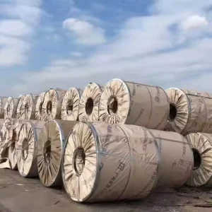 Hot Rolled Carbon Steel Coil S355JR High Tensile Fire Resistant for Villa and Wall Applications