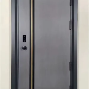 House Modern Steel Security Entrance Main Exterior Steel Security Metal Door