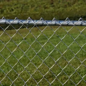 Iron Chain-Link Fence for Park and Sports Field Powder Coated