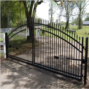 Iron Fancy Boundary Wall Gate