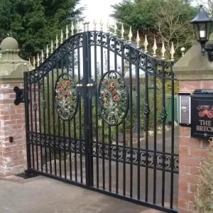 Iron Fancy Gates