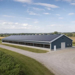 Large Scale Modern Industrial Steel Poultry House Automated Broiler Chicken Farm House Warehouse Climate Controlled
