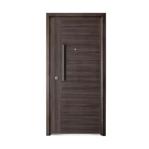 Latest Design Luxury Style Exterior Security Steel Metal Door With Frame